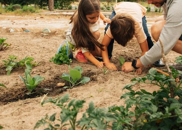 Ohai Outdoor Nazaré