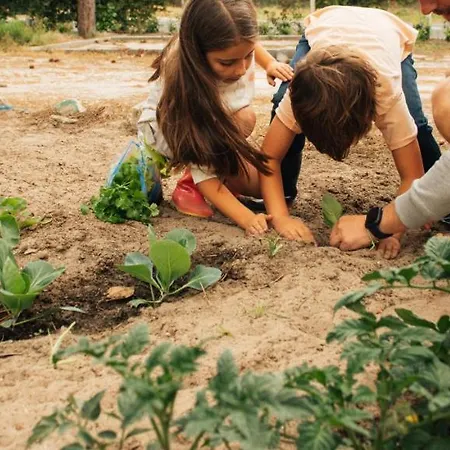 Ohai Outdoor Nazaré