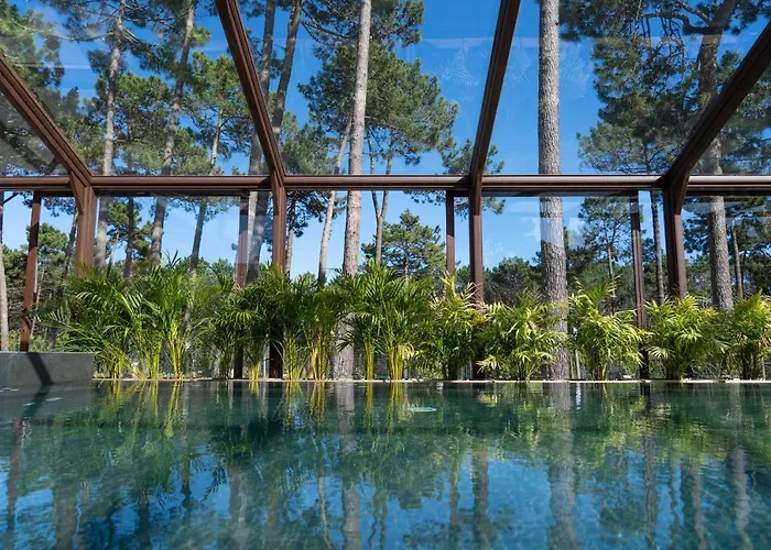 Ohai Outdoor 度假村 纳扎雷